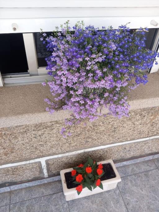 Precioso Apartamento En San Vicente De O Grove San Vicente do Grove Kültér fotó